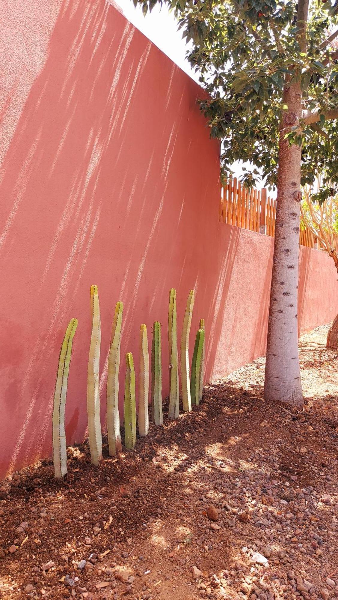 Villa Adosado La Tabaiba San Miguel de Abona Esterno foto