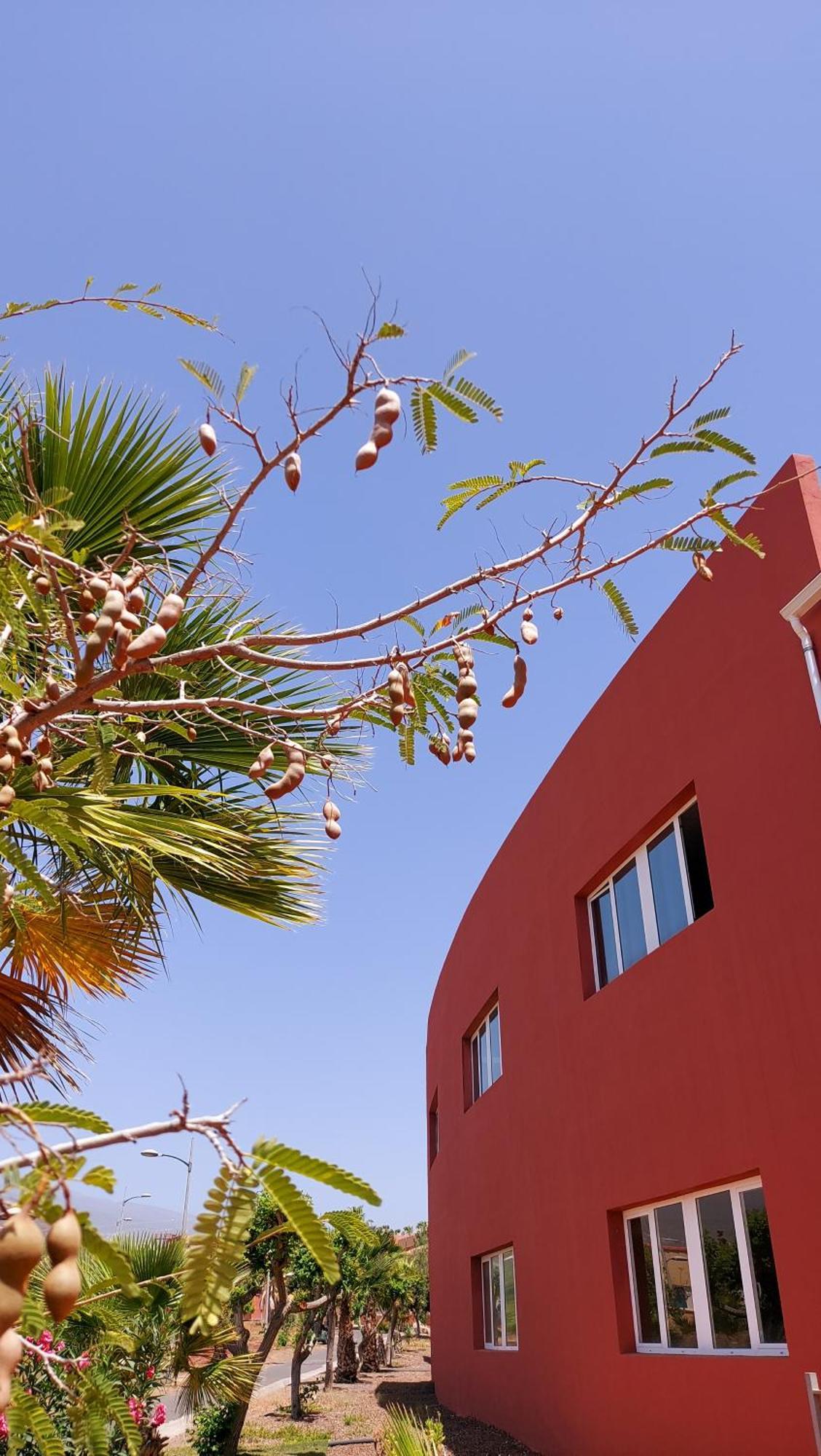 Villa Adosado La Tabaiba San Miguel de Abona Esterno foto